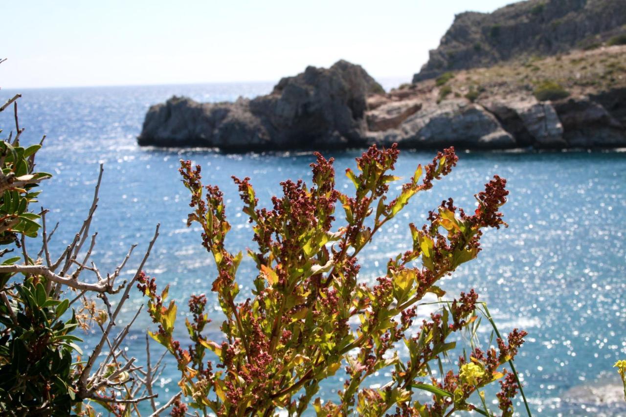 Agios Pavlos Hotel Eksteriør billede